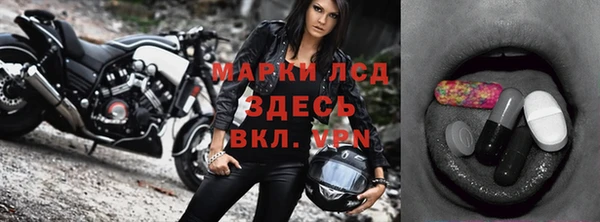 spice Горняк