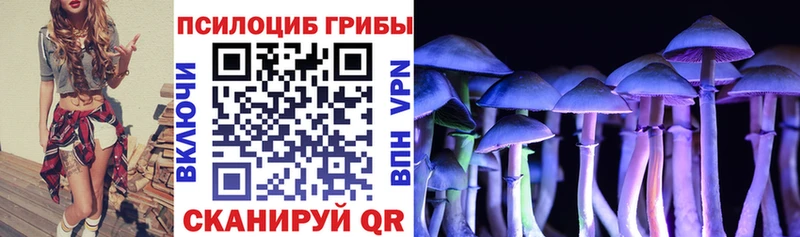 Псилоцибиновые грибы GOLDEN TEACHER  Заполярный 